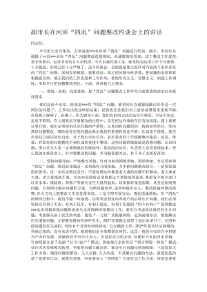 副市长在河库“四乱”问题整改约谈会上的讲话.docx