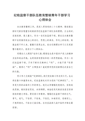 纪检监察干部队伍教育整顿青年干部学习心得体会(精选三篇)范本.docx