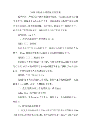 厂区物业2023年夏季防汛应急方案演练合计4份.docx