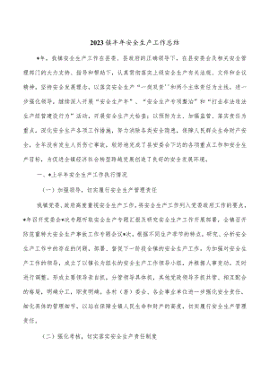 2023镇半年安全生产工作总结.docx