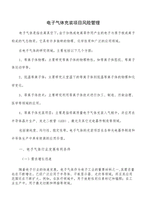 电子气体充装项目风险管理.docx