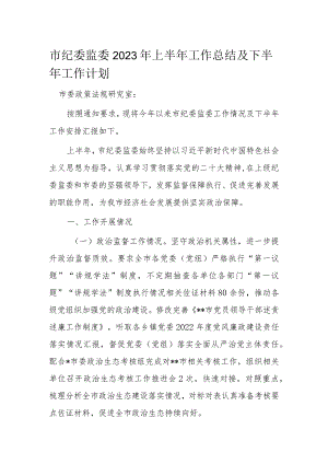 市纪委监委2023年上半年工作总结及下半年工作计划.docx