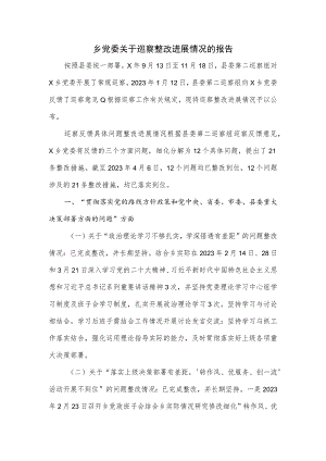 乡党委关于巡察整改进展情况的报1.docx