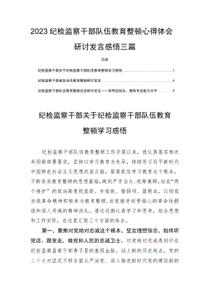 2023纪检监察干部队伍教育整顿心得体会研讨发言感悟三篇.docx