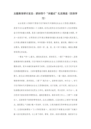 主题教育研讨发言：抓好四个“关键点” 扎实推进.docx