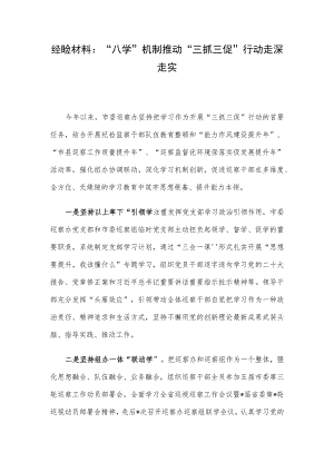 经验材料：“八学”机制推动“三抓三促”行动走深走实.docx
