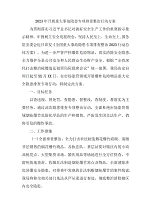 水上交通2023年开展重大事故隐患专项排查整治行动方案.docx