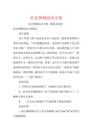 社会领域活动方案.docx