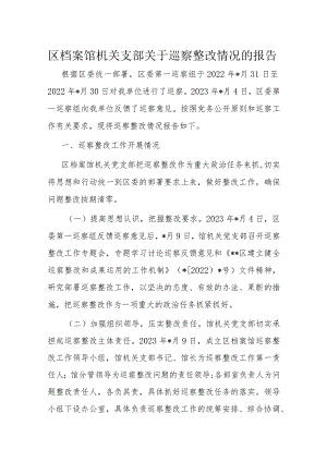 区档案馆机关支部关于巡察整改情况的报告.docx