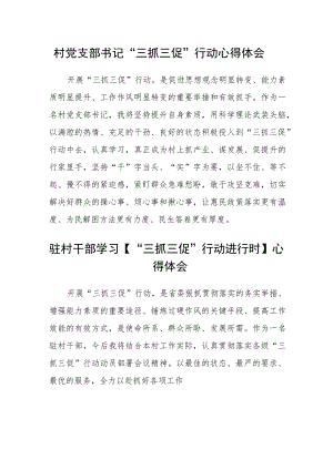村党支部书记“三抓三促”行动心得体会范文(参考三篇).docx
