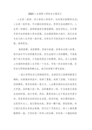 2023人生感悟心得体会汇篇范文.docx