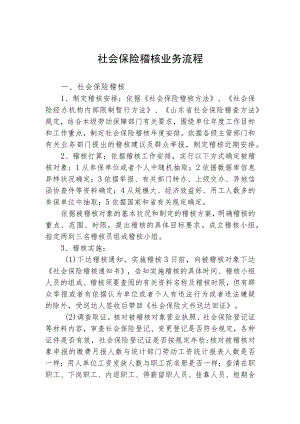社会保险稽核业务流程.讲述.docx