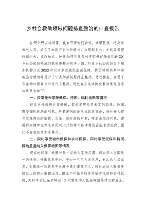 乡社会救助领域问题排查整治的自查报告（20230522）.docx