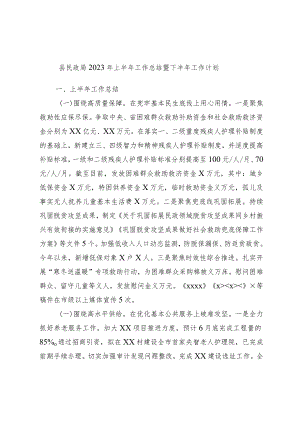 县民政局2023年上半年工作总结暨下半年工作计划.docx