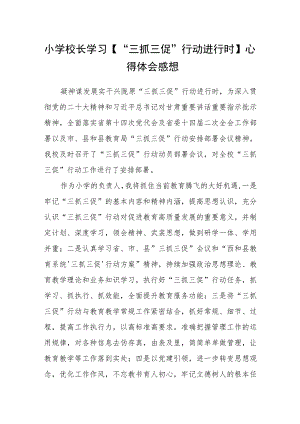 （共三篇）小学校长学习【“三抓三促”行动进行时】心得体会感想.docx