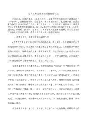 公司提升支部建设质量经验做法.docx