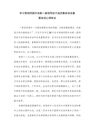 学习贯彻同团中央新一届领导班子成员集体谈话重要讲话心得体会4篇.docx