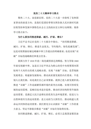 国企单位开展《党的二十大精神》学习要点 （7份）.docx