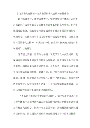 中小学教师学习贯彻共青团第十九次全国代表大会精神个人心得体会 （样板5份）.docx