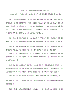 淄博市人大常委会政府债务审查监督办法.docx