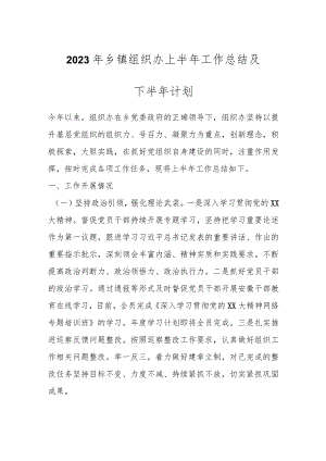 2023年乡镇组织办上半年工作总结及下半年计划.docx