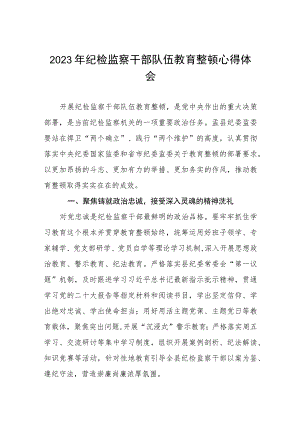 2023年全国纪检监察干部队伍教育整顿心得体会研讨发言材料7篇.docx