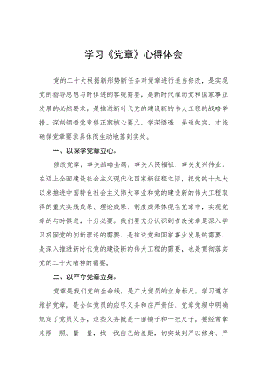 2023学习《新党章》心得体会3篇.docx