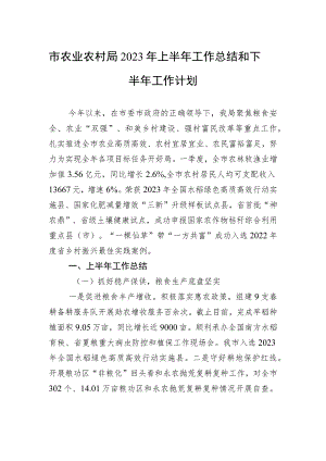 市农业农村局+2023年上半年工作总结和下半年工作计划（20230628）.docx