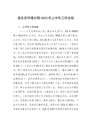 县生态环境分局2023年上半年工作总结（20230627）.docx