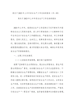 局关于2023年上半年安全生产工作总结的报告(共二篇).docx