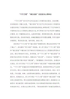 2023“千万工程”“浦江经验”交流发言心得体会范文最新精选版【12篇】.docx