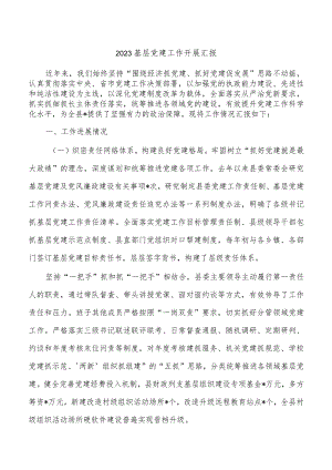 2023基层党建工作开展汇报.docx