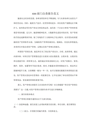 XXX部门自查报告范文.docx