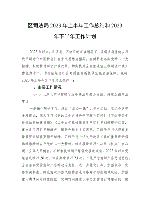 区司法局2023年上半年工作总结和2023年下半年工作计划(20230628).docx