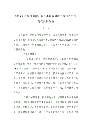 2023关于统计造假不收手不收敛问题专项纠治工作情况汇报两篇.docx