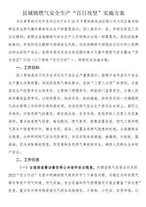 县城镇燃气安全生产 “百日攻坚”实施方案.docx