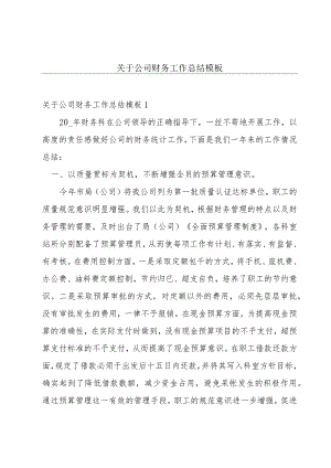 关于公司财务工作总结模板.docx