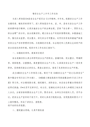 镇安全生产上半年工作总结.docx