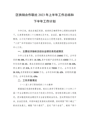 区供销合作联社+2023年上半年工作总结和下半年工作计划（20230621）.docx