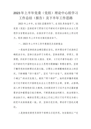 2023年上半年党委（党组）理论中心组学习工作总结（报告）及下半年工作思路.docx