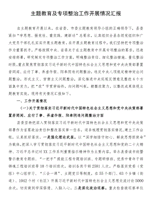 全县2023年主题教育及专项整治综合情况汇报.docx