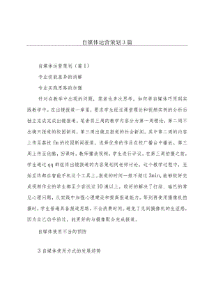自媒体运营策划3篇.docx