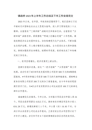 镇政府2023年上半年工作总结及下半工作安排范文.docx