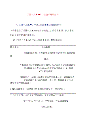 天然气及LNG行业技术环境分析.docx