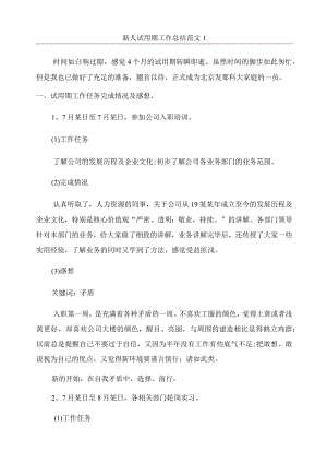 新人试用期工作总结范文1.docx