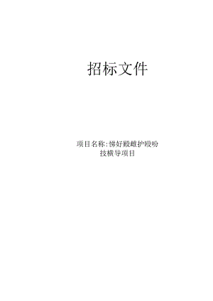 农村及乡镇级饮用水水源保护区划分技术指导项目招标文件.docx