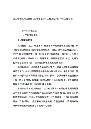 区卫健委疾控应急股2023年上半年工作总结和下半年工作安排（计划）.docx