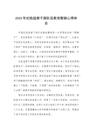 关于2023年纪检监察干部队伍教育整顿个人心得体会范文七篇.docx