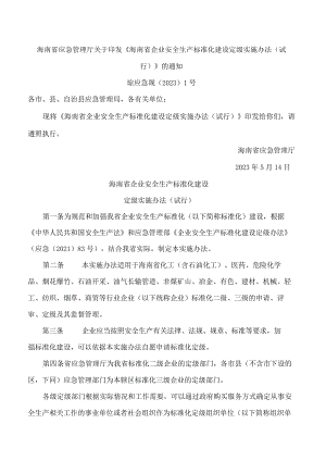 海南省应急管理厅关于印发《海南省企业安全生产标准化建设定级实施办法(试行)》的通知.docx