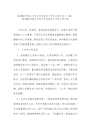 局2023年度上半年工作总结及下半年工作计划(二篇).docx